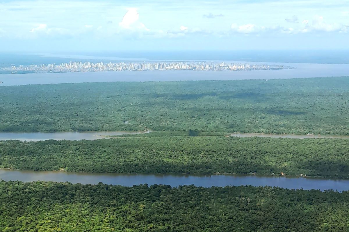A Floresta Amazônica com a cidade de Belém ao fundo, depois dos rios: comunidades tradicionais levam as vozes da floresta à COP30 (Foto: Bruno Cecim Agência Pará)