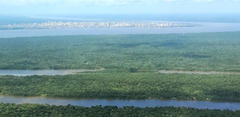 A Floresta Amazônica com a cidade de Belém ao fundo, depois dos rios: comunidades tradicionais levam as vozes da floresta à COP30 (Foto: Bruno Cecim Agência Pará)