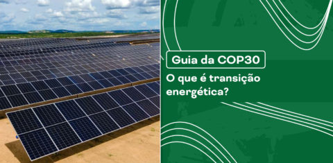 Painéis solares de uma usina fotovoltaica simbolizando a transição energética e a busca por fontes renováveis. Transição energética é tema central da COP30.
