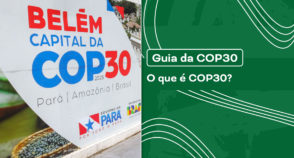 O que é a COP30?