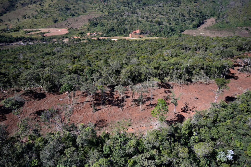 Área devastada de Mata Atlântica em Minas Gerais: estado tem maior regeneração e também maior desmatamento (Foto: SOS Mata Atlântica - 20/05/2022)
