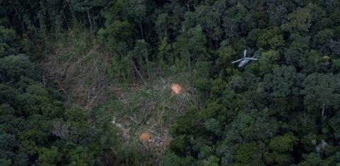 Helicóptero em operação de combate ao desmate em Roraima: com redução do desmatamento, emissões do Brasil têm a maior queda em 15 anos (Foto: MMA - 24/02/2023)