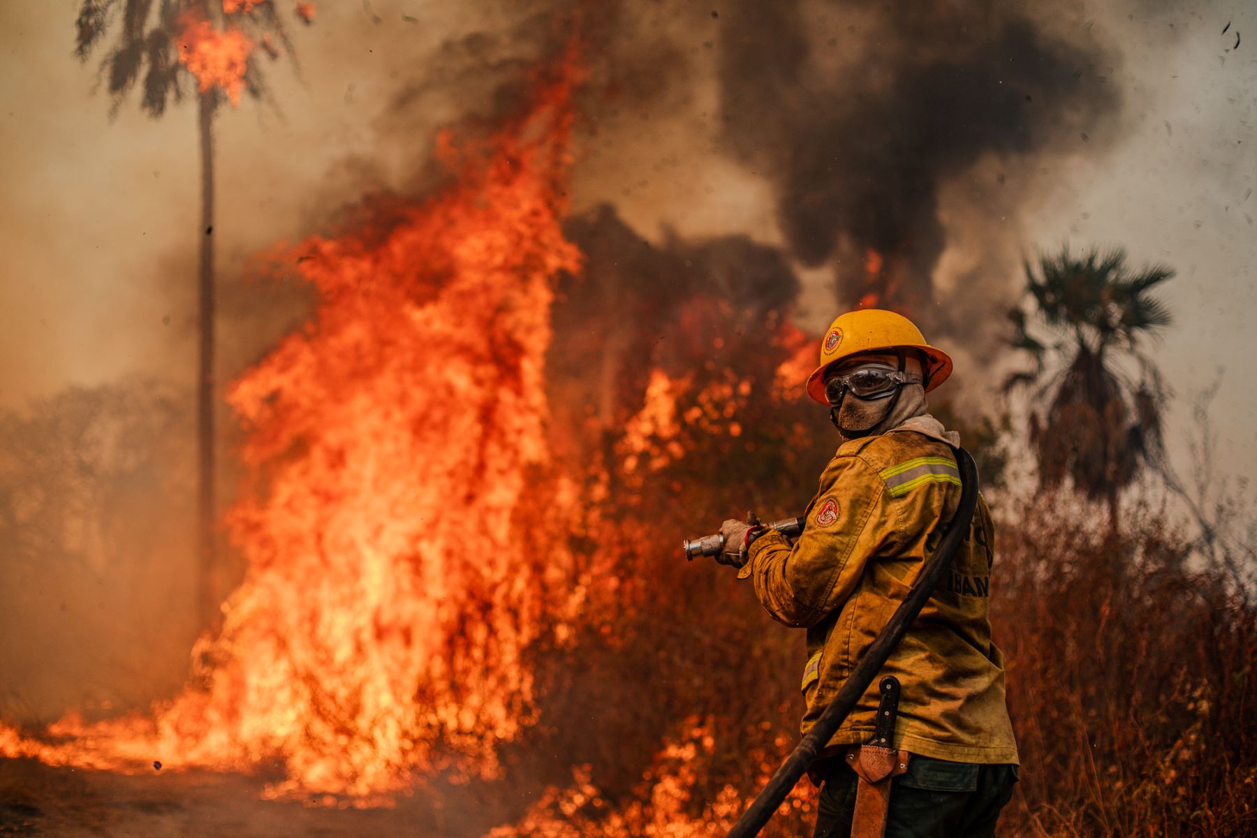 Brigadista enfrenta incêndio no Pantanal: queimadas multiplicam emissões (Foto: Foto: Augusto Dauster / Ibama - 22/07/2024)