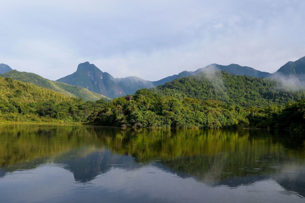 Parque Estadual dos Três Picos, na Região Serrana do Rio, recebe monitoramento do Projeto Guapiaçu, para restauração da Mata Atlântica: regeneração da natureza, degeneração da humanidade (Foto: Tânia Rego / Agência Brasil - 28/03/2023)
