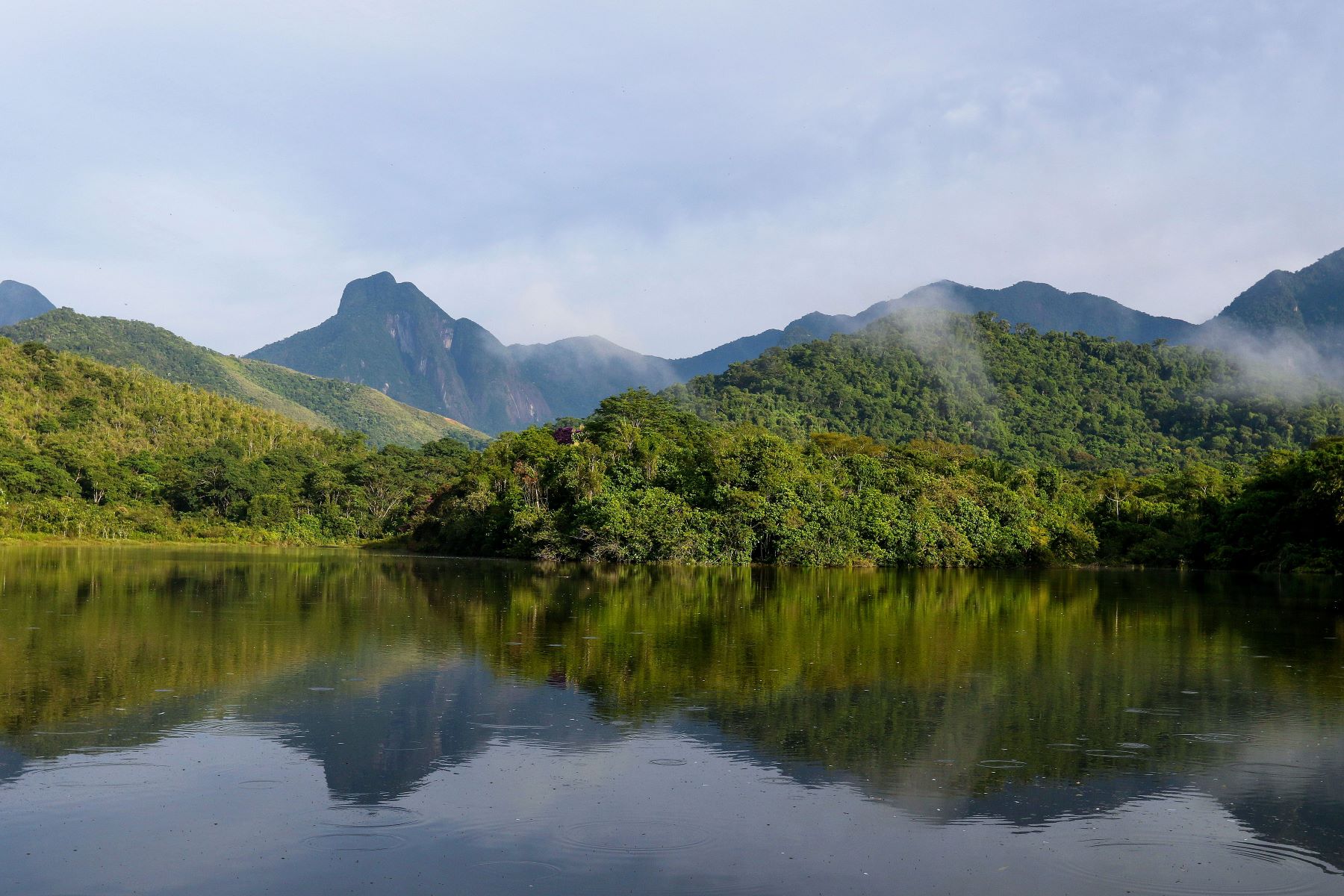 Parque Estadual dos Três Picos, na Região Serrana do Rio, recebe monitoramento do Projeto Guapiaçu, para restauração da Mata Atlântica: regeneração da natureza, degeneração da humanidade (Foto: Tânia Rego / Agência Brasil - 28/03/2023)
