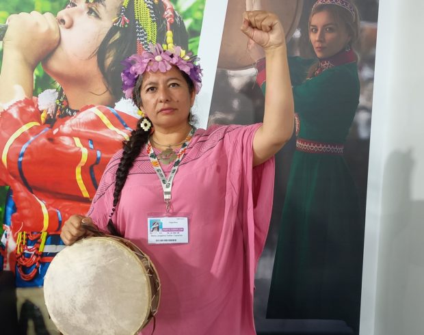 Corrida pela exploração do lítio na Argentina ameaça indígenas