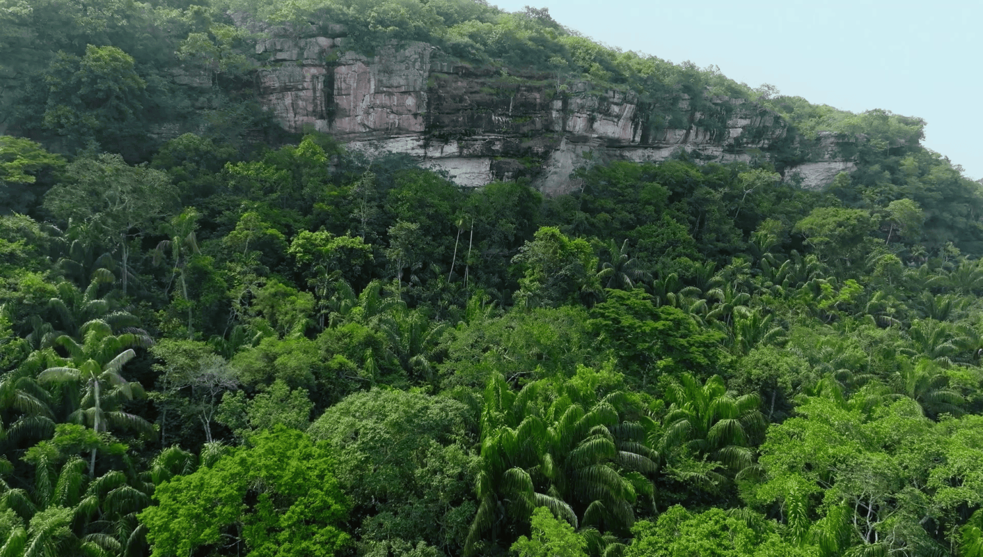 Foto colorida de tepui, montanha em forma de mesa, com muitas árvores em volta. Parque Nacional Chiribiquete, na Colômbia