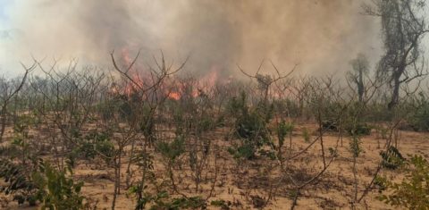 Queimada em território indígena em Mato Grosso; chiquitanos sofrem com ameaças de fazendeiro e ataque de autoridades, enquanto lutam por demarcação definitiva de suas terras (Foto: Arquivo Pessoal / Erlie Rumhamre Xavante)