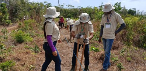 Marajó Resiliente, projeto para fortalecer sistemas agroflorestais e sociobioeconomia: levantamento mostra fragmentação entre negócios comunitários (Foto: Divulgação)