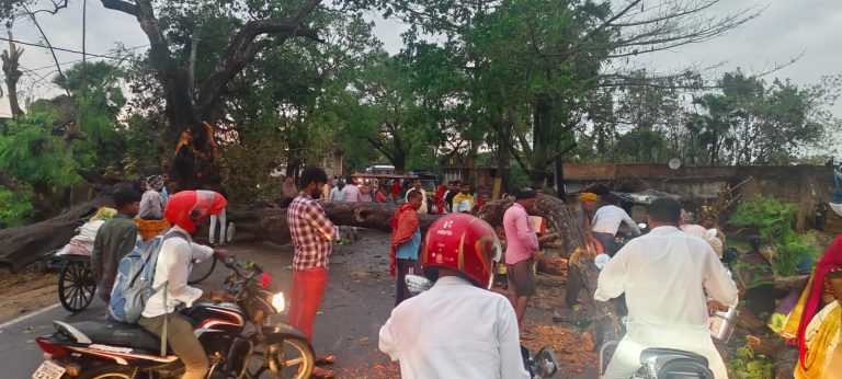 Queda de árvore no estado indiano de Bihar após tempestade: quase 100 pessoas morreram nos últimos dias no norte da Índia e vizinho Nepal também registrou vítimas fatais (Foto: Love Bihar / Facebook / Reprodução)
