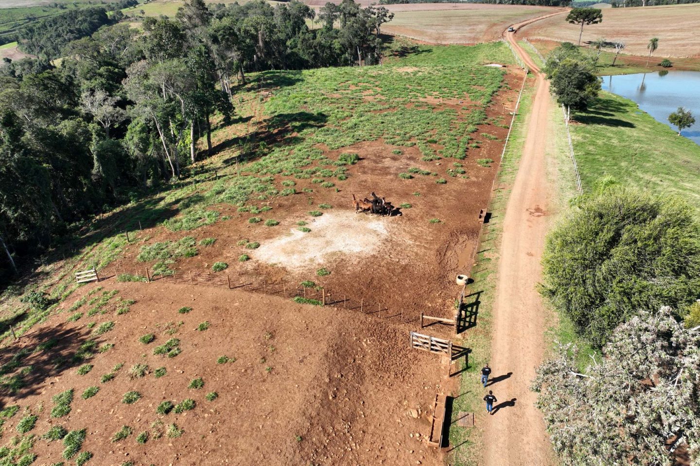 Operação de combate ao desmatamento em área de Mata Atlântica, no Paraná, estado com grande redução no desflorestamento: bioma segue ameaçado (Foto: IAT-PR / Agência Estadual de Notícias - 22/05/2024)