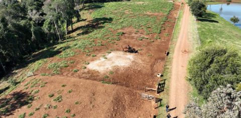 Operação de combate ao desmatamento em área de Mata Atlântica, no Paraná, estado com grande redução no desflorestamento: bioma segue ameaçado (Foto: IAT-PR / Agência Estadual de Notícias - 22/05/2024)