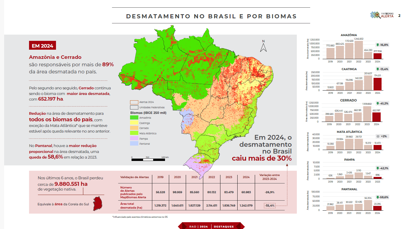 Desmatamento no Brasil e por biomas: queda generalizada na área desmatada entre 2023 e 2024 (Arte: Mapbiomas)