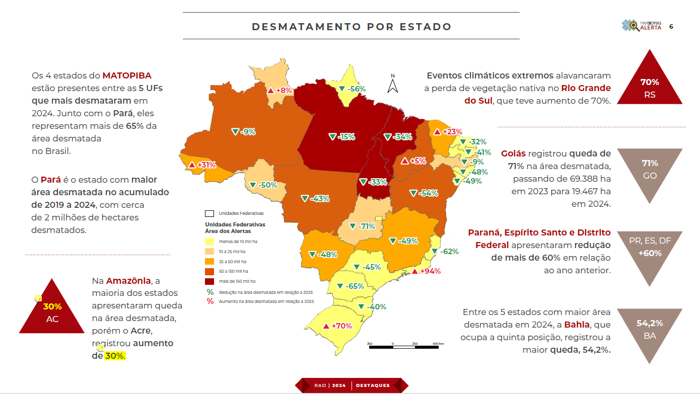 Desmatamento pelos estados: quedas expressivas em Goiás, Paraná, Espírito Santo e Bahia (Arte: MapBiomas)