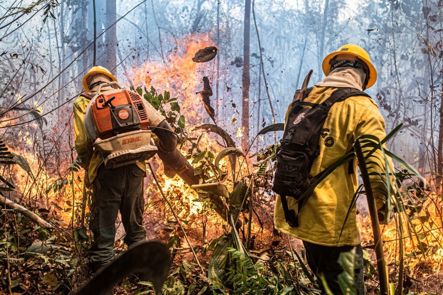 Brigadistas do PrevFogo combatem fogo na Amazônia: quase 2 milhões de hectares de florestas perdidos para incêndios no Brasil com a seca extrema de 2024 (Foto: Mayangdi Inzaulgarat / Ibama )