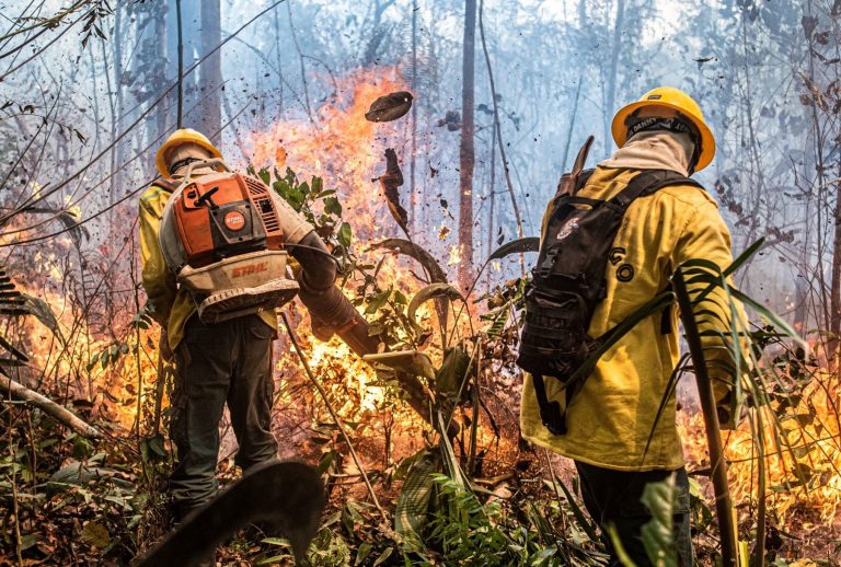 Brigadistas do PrevFogo combatem fogo na Amazônia: quase 2 milhões de hectares de florestas perdidos para incêndios no Brasil com a seca extrema de 2024 (Foto: Mayangdi Inzaulgarat / Ibama )