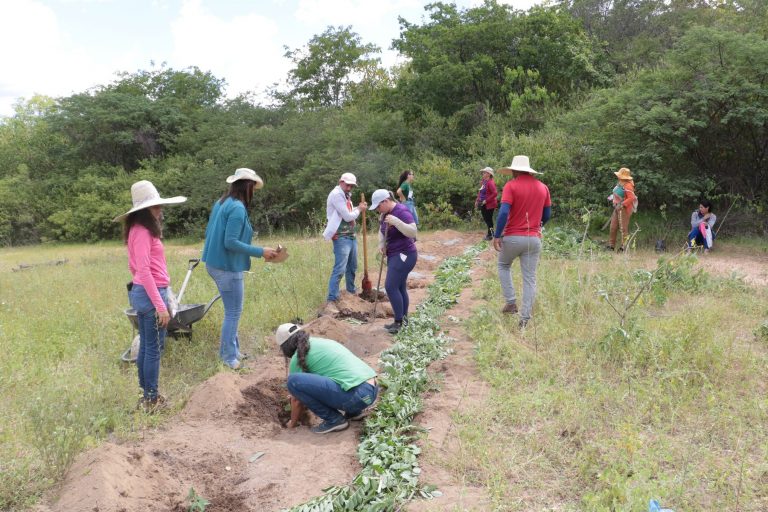 Plantação de mudas em projeto de restauração da Caatinga em Itapemim, Pernambuco: iniciativa em parceria entre a Rede de Mulheres do Pajeú e a WRI Brasil (Foto: Claudio Gomes / Divulgação)