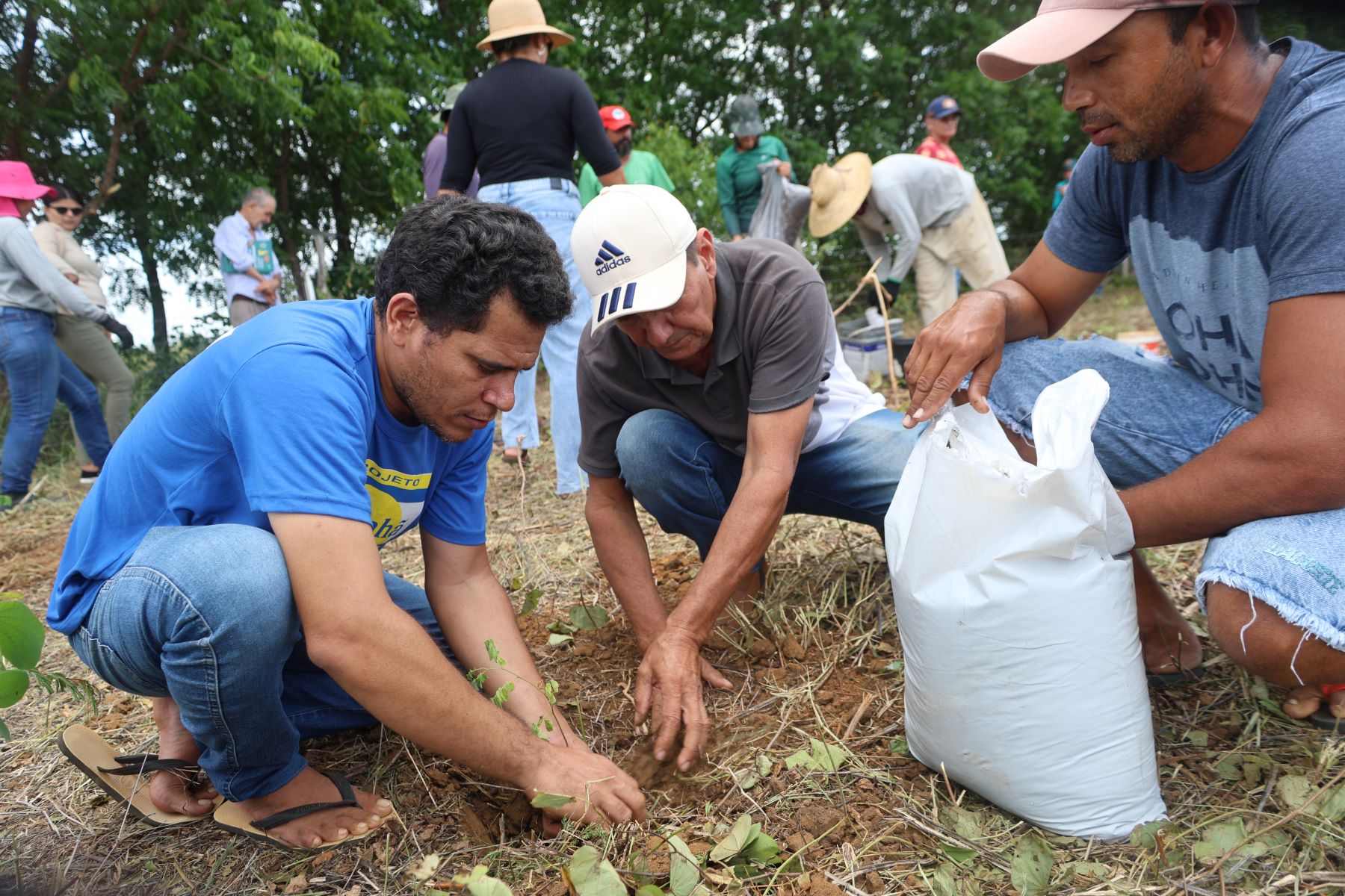 Plantação de sementes em área no sertão do Apodi, Rio Grande do Norte: projeto vai promover cultivo de 38 espécies nativas da Caatinga (Foto: Ben Hur Monrahatty / Divulgação)