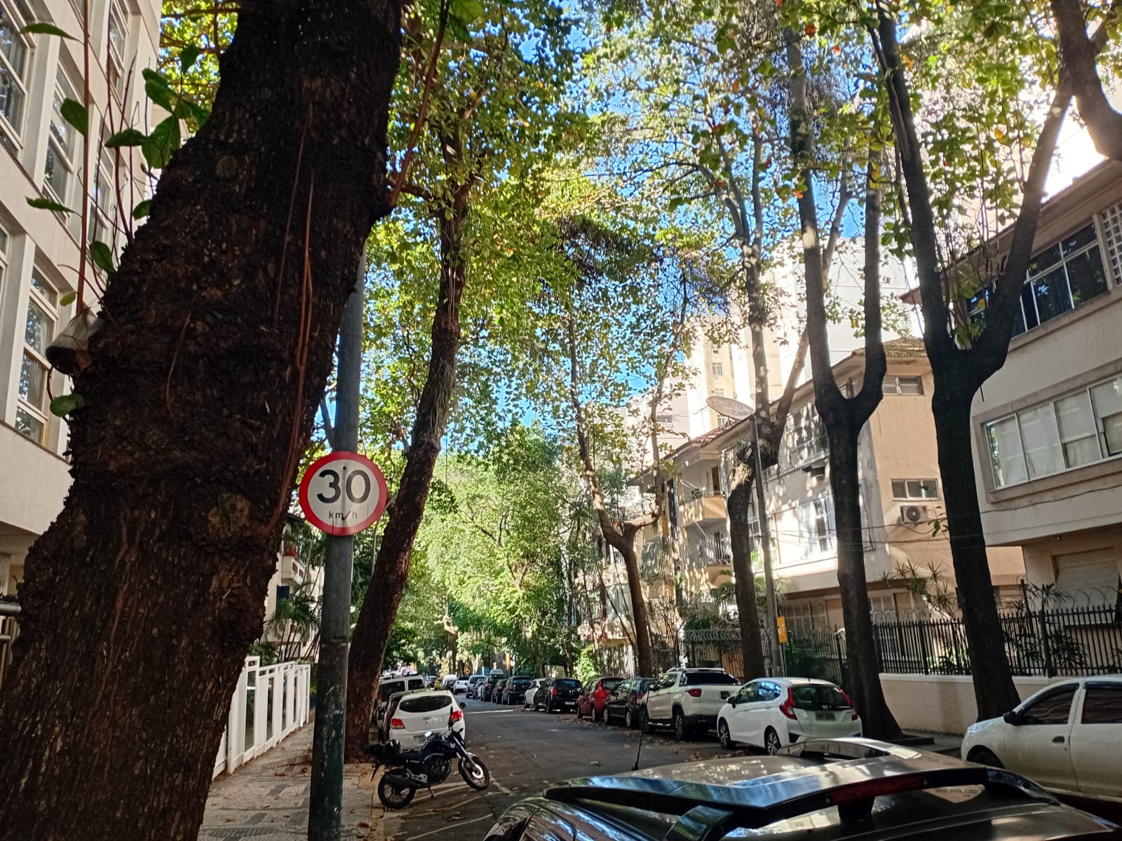 Ruas arborizadas, prédios baixos, sem comércio: no Bairro Peixoto, Copacabana nem parece Copacabana (Foto: Oscar Valporto)