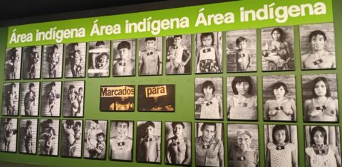 A famosa série Marcados na exposição 'Claudia Andujar e seu Universo': Museu do Amanhã, no Rio, lança Projeto Esquenta COP para debater crise climática e aproximar tema do público (Foto: Oscar Valporto)