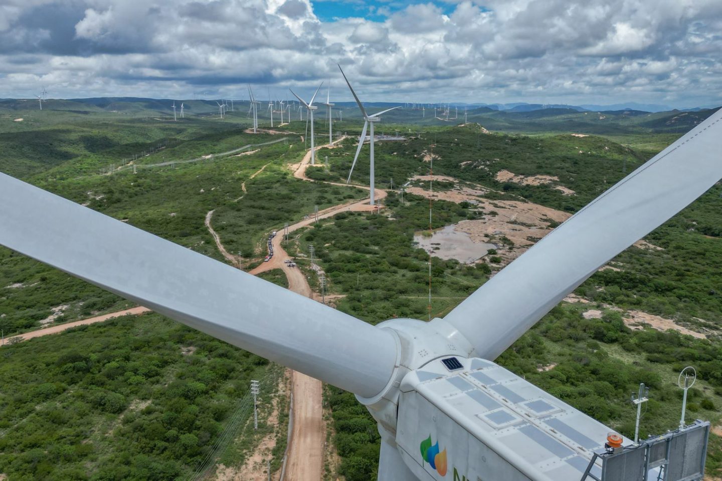 Parque eólico na Paraíba: Brasil é destaque com baixo custo na produção de energia renovável (Foto: Ricardo Stuckert / PR /Agência Brasil - 22/03/2023)