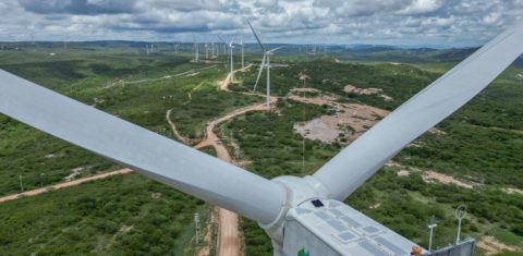 Parque eólico na Paraíba: Brasil é destaque com baixo custo na produção de energia renovável (Foto: Ricardo Stuckert / PR /Agência Brasil - 22/03/2023)