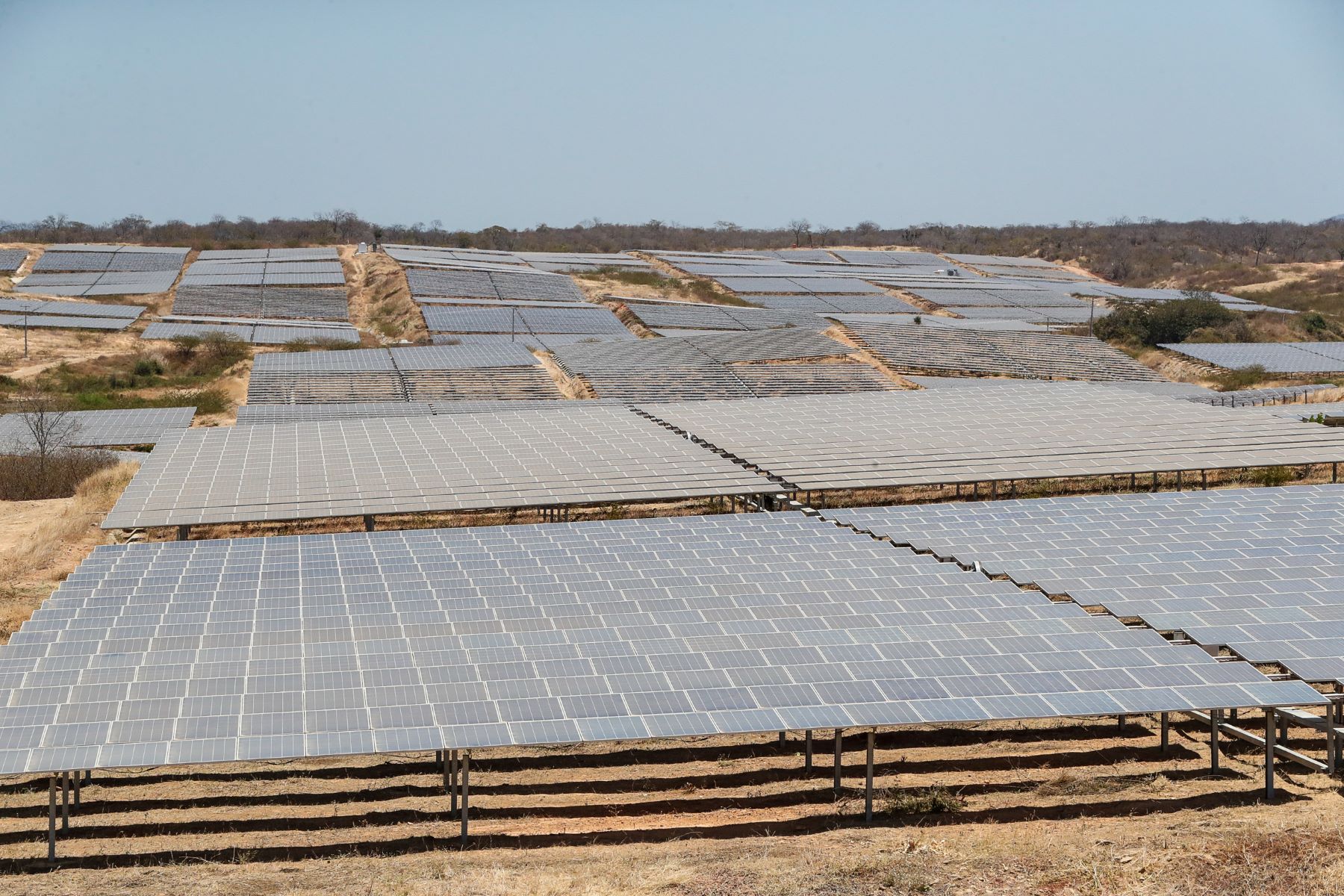 Painéis solares de usina na Paraíba: novo relatório aponta que a energia solar fotovoltaica foi, em média, 41% mais barata do que a alternativa fóssil de menor custo, enquanto os projetos de energia eólica onshore foram 53% mais baratos (Foto: Alan Santos /PR / Agência Brasil - 17/09/2020)
