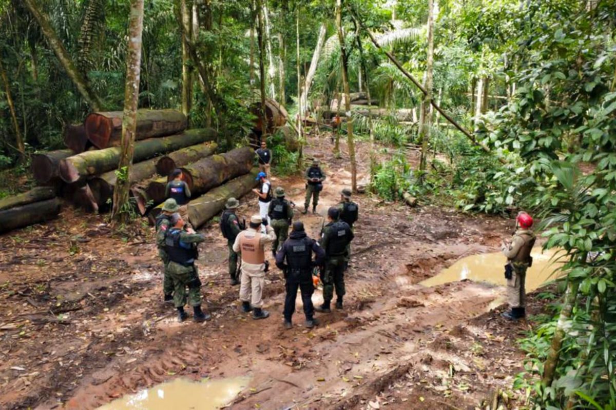 Ação contra desmatamento no Pará: Coleção do MapBiomas mostra que país perdeu uma Bolívia em áreas naturais os últimos 40 anos (Foto: Agência Pará - 17/04/2023)