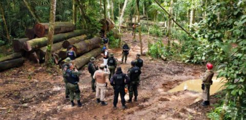 Ação contra desmatamento no Pará: Coleção do MapBiomas mostra que país perdeu uma Bolívia em áreas naturais os últimos 40 anos (Foto: Agência Pará - 17/04/2023)