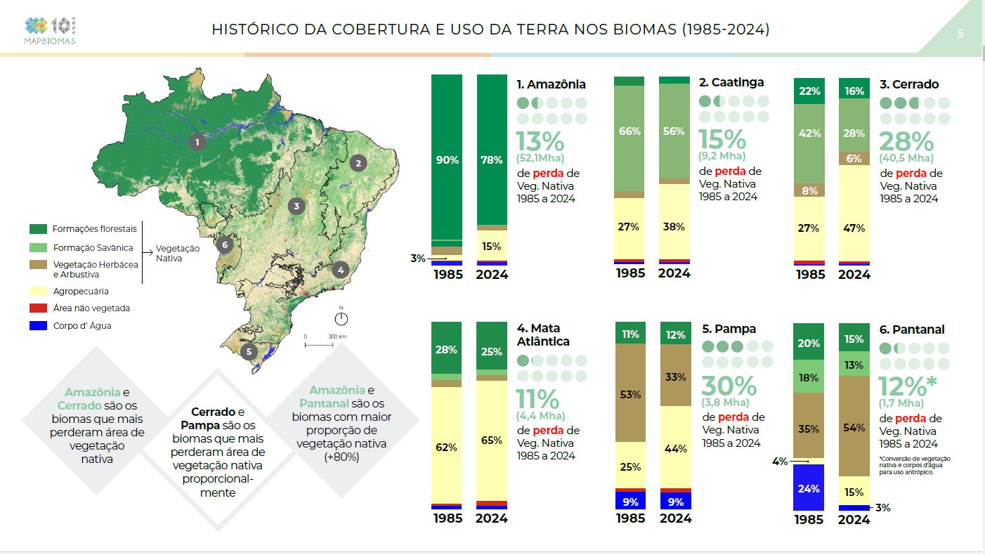 Dinâmica do uso da terra nos biomas brasileiros em 40 anos (Arte: MapBiomas)