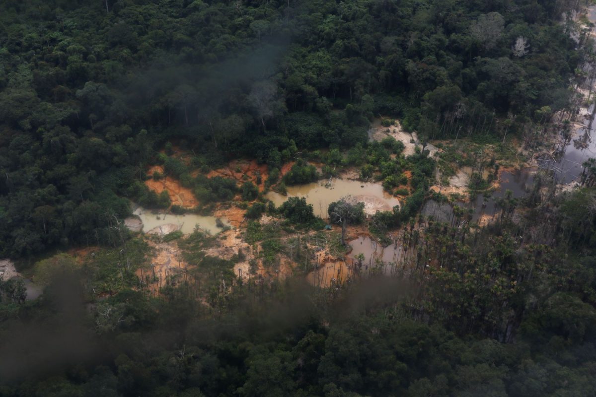 Garimpo ilegal na Terra Yanomâmi: Senadores tentam acelerar projeto para permitir até garimpo em terras indígenas (Foto: Fernando Frazão / Agência Brasil - 02/03/2023)