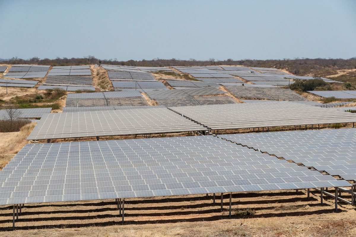 Usina Fotovoltaica Coremas III, em área de Caatinga na Paraíba: bioma concentra 62% da área de usinas de energia solar mas sofre com desmatamento (Foto: Alan Santos / PR / Agência Brasil - 17/09/2020)