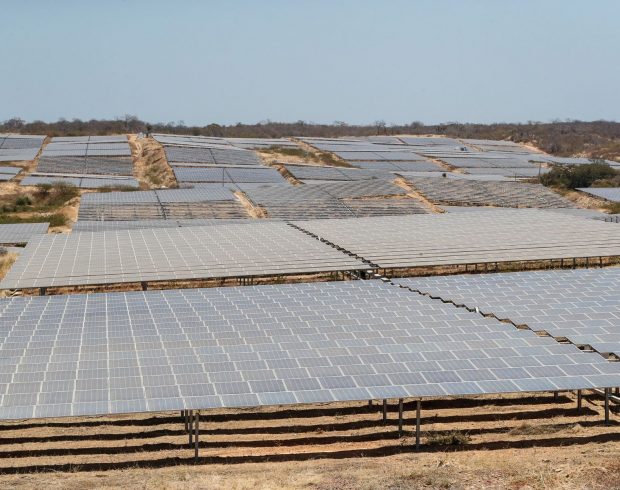 Caatinga lidera em energia solar mas sofre com efeito colateral do desmatamento