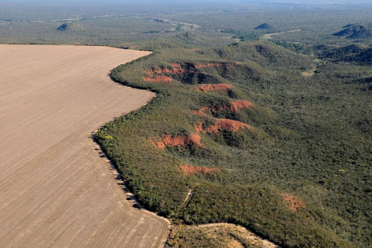 Área desmatada no Cerrado para dar lugar à agricultura: Matopiba, mesmo com desmatamento acelerado, ainda concentra quase metade da vegetação nativa do bioma (Foto: Adriano Gambarini / WWF)