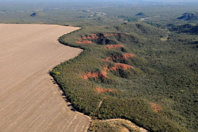 Área desmatada no Cerrado para dar lugar à agricultura: Matopiba, mesmo com desmatamento acelerado, ainda concentra quase metade da vegetação nativa do bioma (Foto: Adriano Gambarini / WWF)