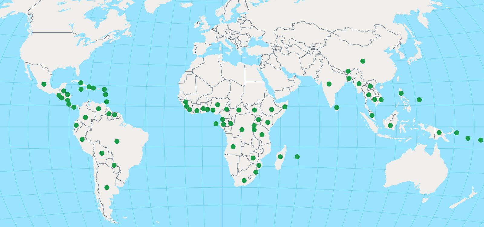 Levantamento do MMA aponta 74 países com florestas elegíveis para integrar o fundo (Arte: MMA)