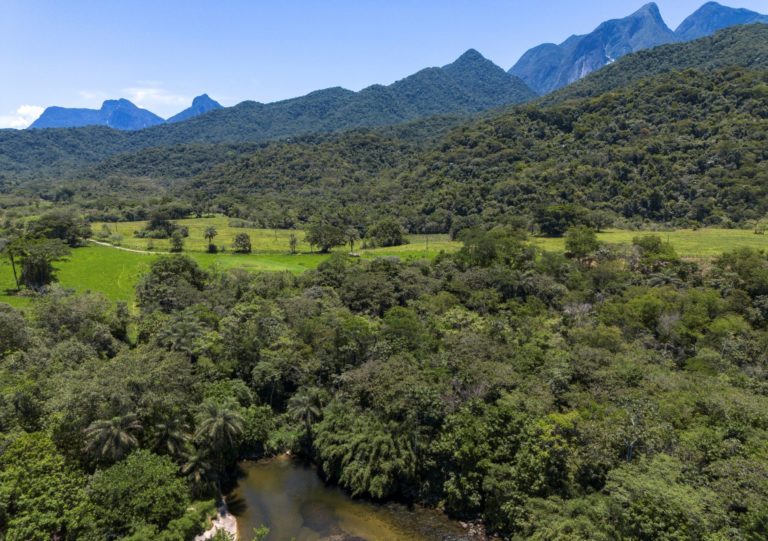 Área de Mata Atlântica restaurada no interior do estado do Rio: regeneração do bioma avança, mas 22% das áreas recuperadas são novamente desmatadas (Foto: Fernando Frazão / Agência Brasil - 26/11/2024)