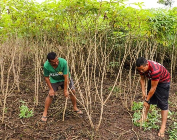 Abundância invisível: o paradoxo entre crescimento agrícola e fome no Acre