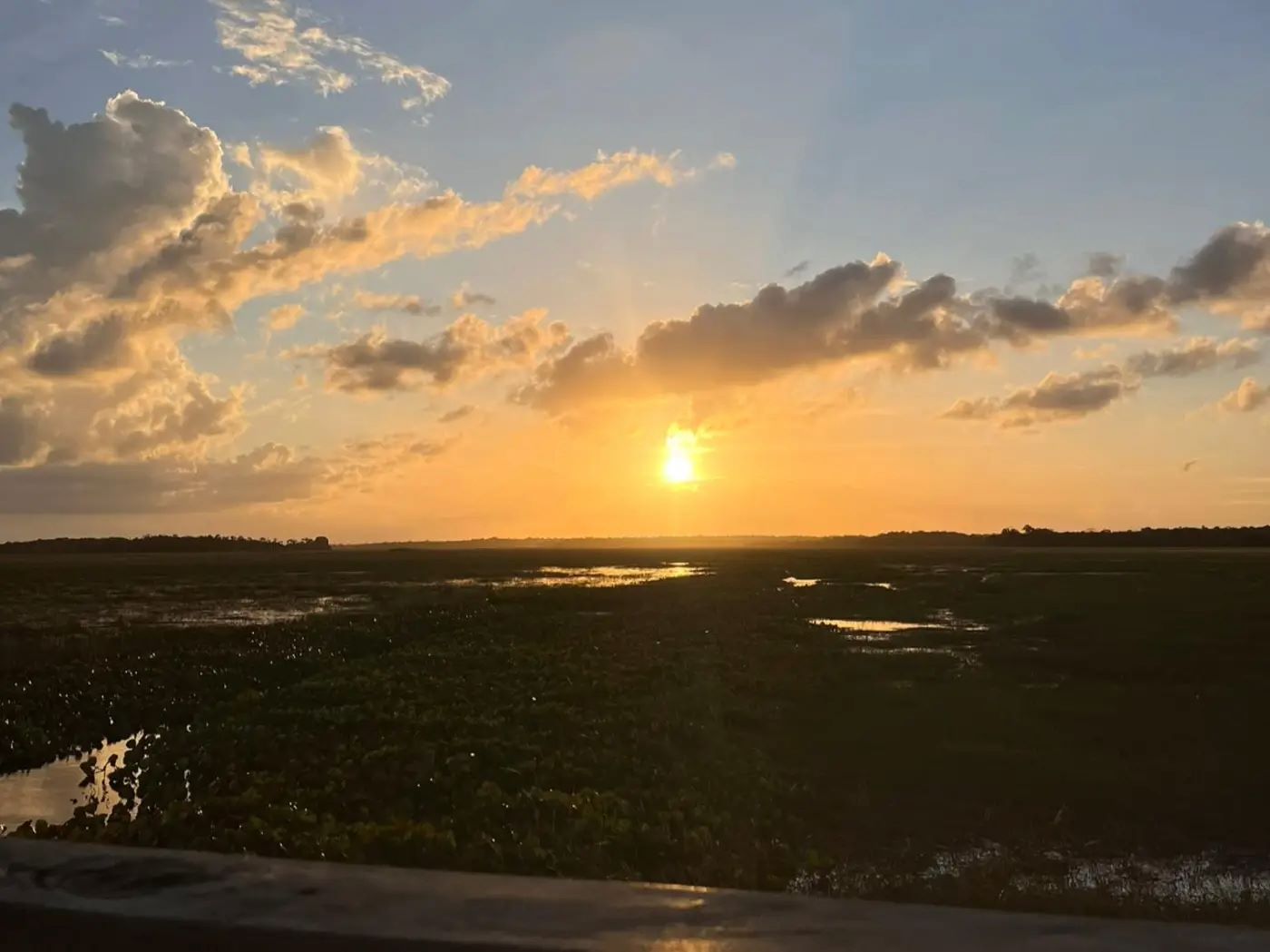 Área de Proteção Ambiental (APA) do Rio Curiaú: cursos d'água ameaçados pelo despejo descontrolado de esgoto e outros resíduos (Foto: Fernanda Figueiredo / Agência de Notícias do Amapá)