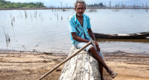 Desmatamento no Pará afeta reprodução de peixes