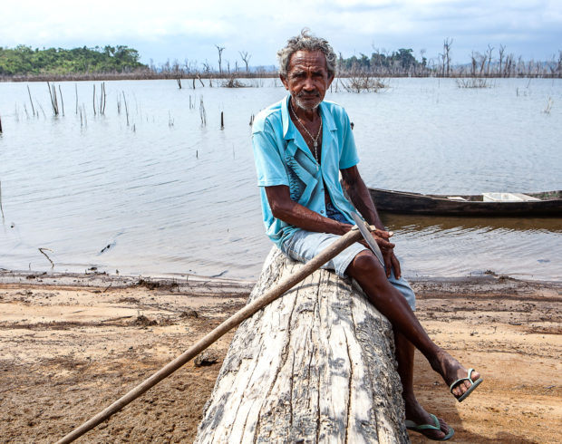 Desmatamento no Pará afeta reprodução de peixes