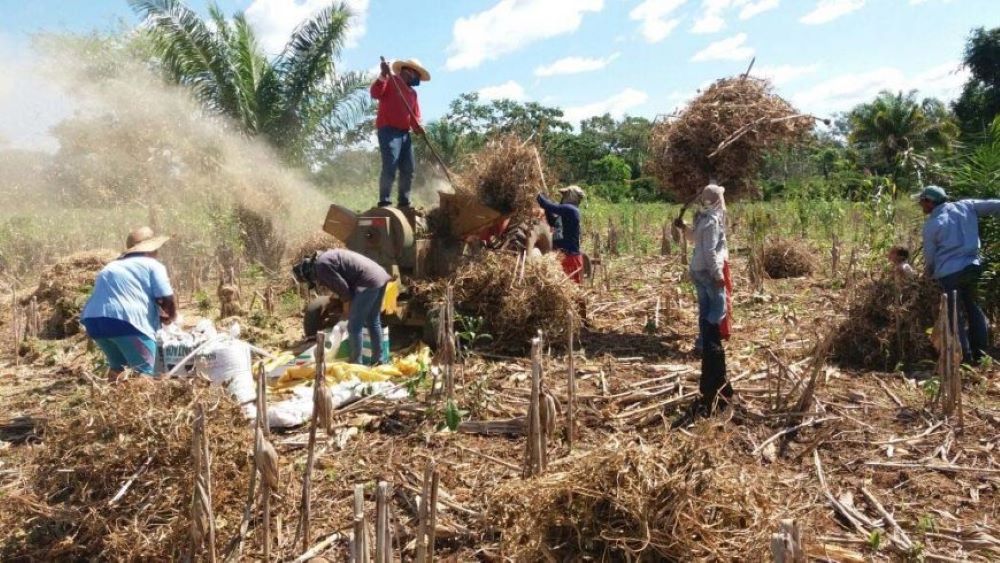 Pequenos produtores rurais em trabalho no campo: agricultura familiar é a que mais sofre com crise climática e falta de apoio e incentivo (Foto: Governo de Rondônia)