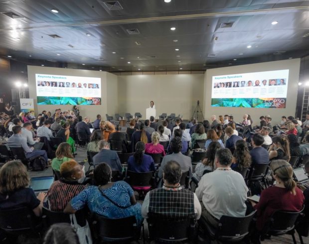 Adaptação: avanço em métricas e resultados pode ser trunfo da COP30