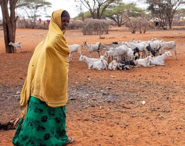 Os impactos do clima extremo no Quênia e das indústrias fósseis na África do Sul
