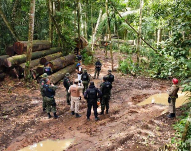 Amazônia, a nova menina dos olhos das facções criminosas