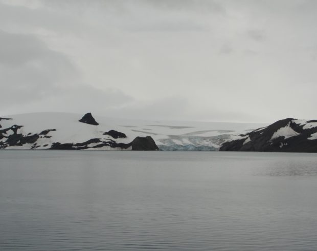 Crise climática: MapBiomas passa a monitorar gelo e vegetação da Antártica