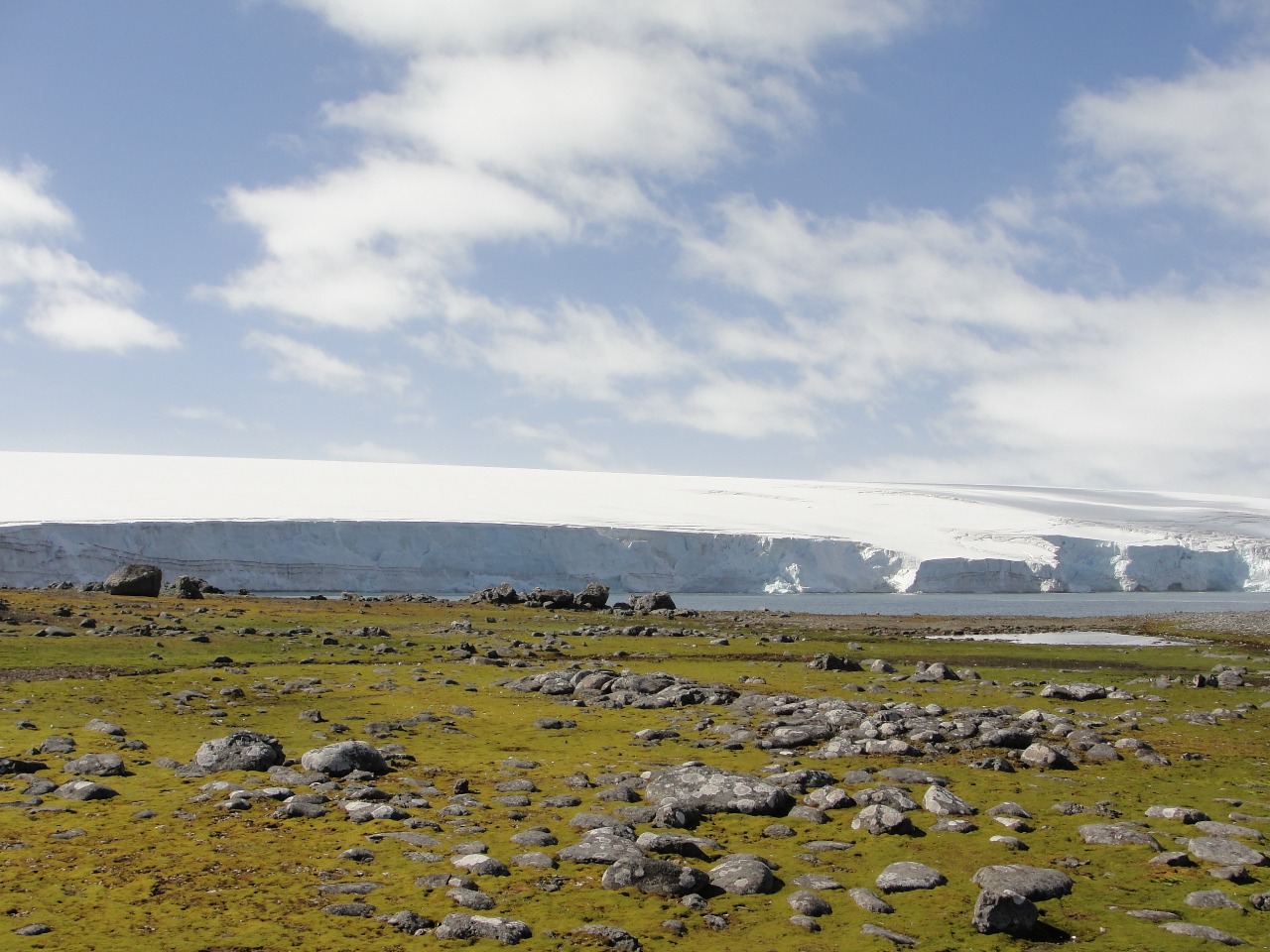 Vegetação no verão da Antártica: mapear áreas livres de gelo e cobertas por vegetação para monitorar impactos das mudanças do clima (Foto: Eliana Lima da Fonseca / MapBiomas)