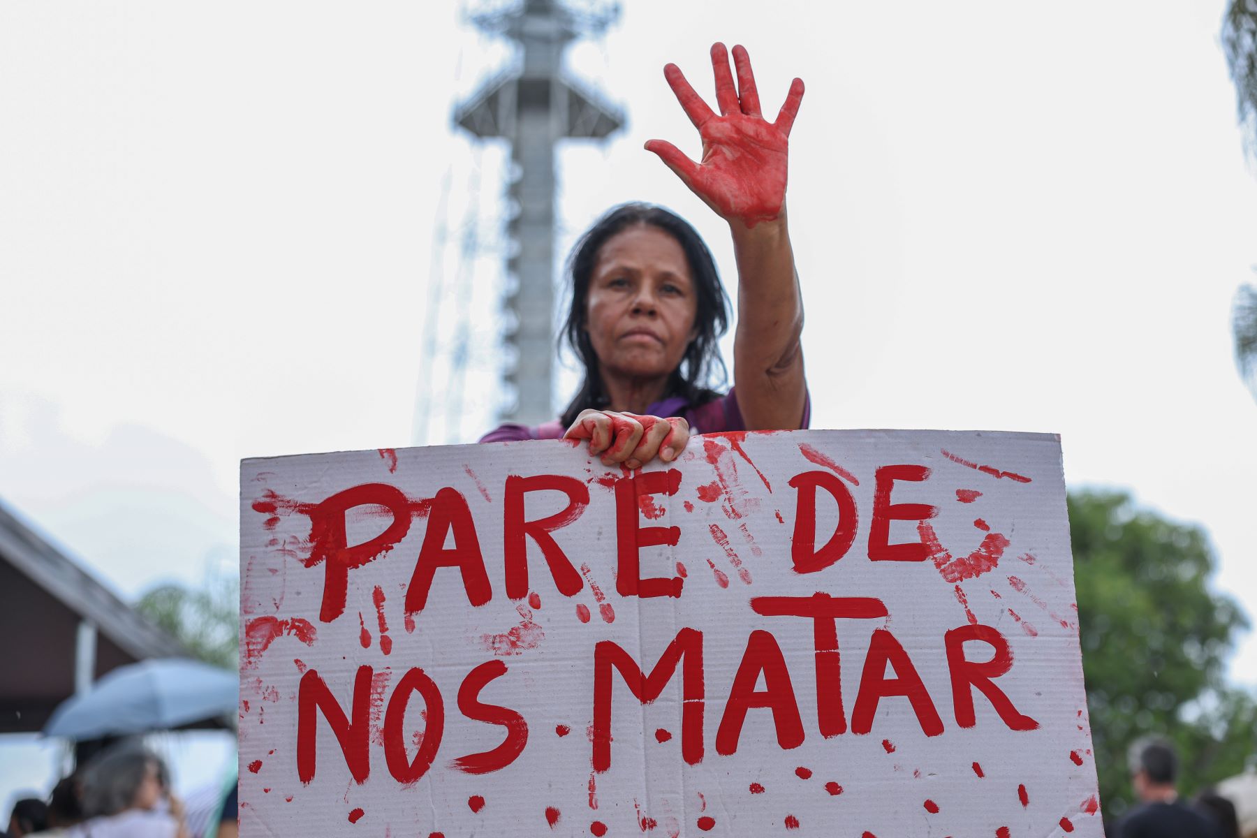 Manifestação contra a epidemia de ataques a mulheres em Brasília: em 2025, o Brasil já registrou mais de 1.180 feminicídios (Foto: Marcelo Camargo / Agência Brasil)