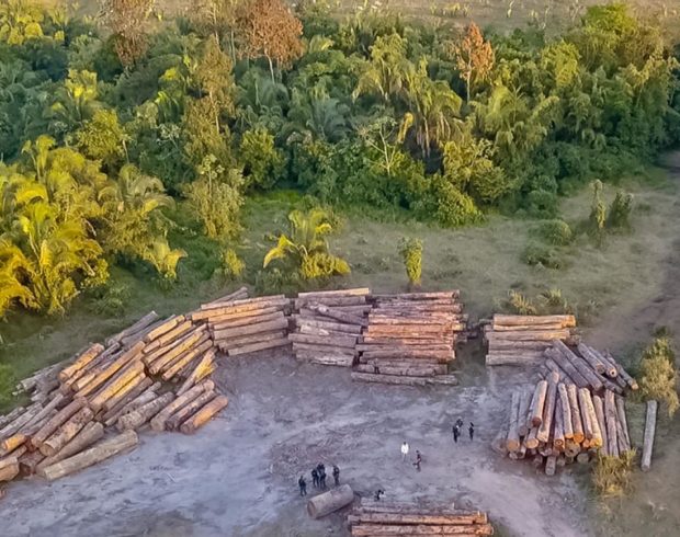 Desmatamento cai quase 10% na Amazônia e no Cerrado em 2025