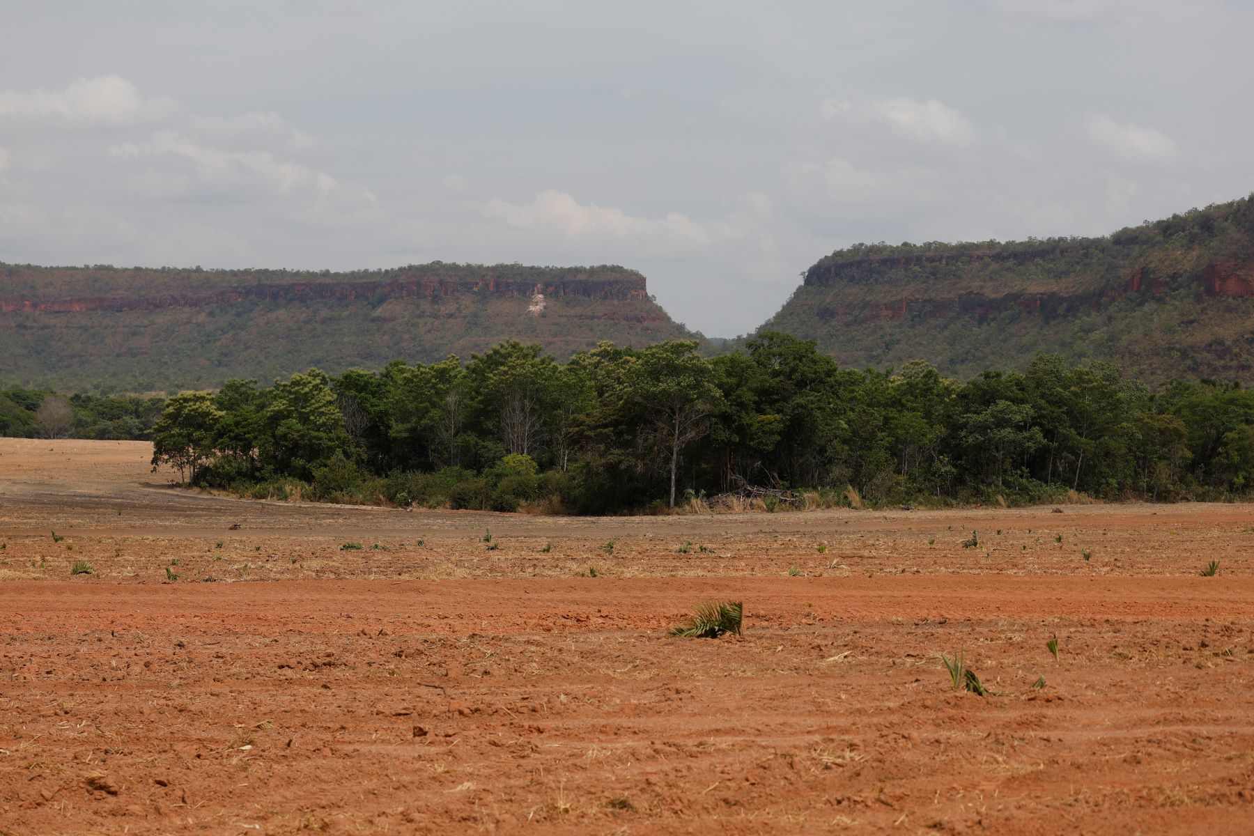 Lavoura de soja avança sobre vegetação do Cerrado no Maranhão: bioma registra queda de 9% no desmatamento, concentrado ainda na região do Matopiba (Foto: Fernando Frazâo / Agência Brasil - 11/10/2025)